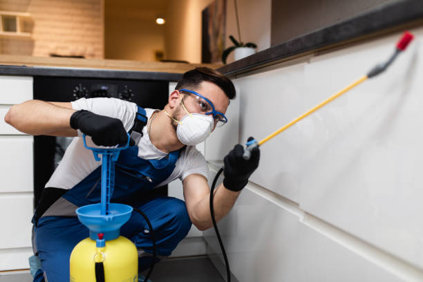 Flea Control Services in Saranac, MI