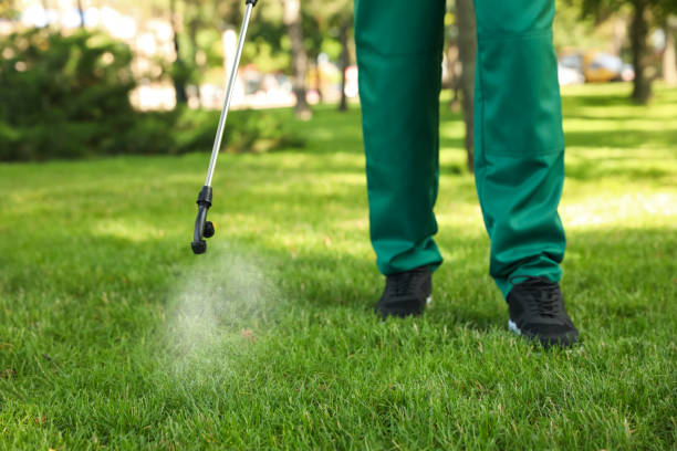 Best Termite Control Services  in Saranac, MI