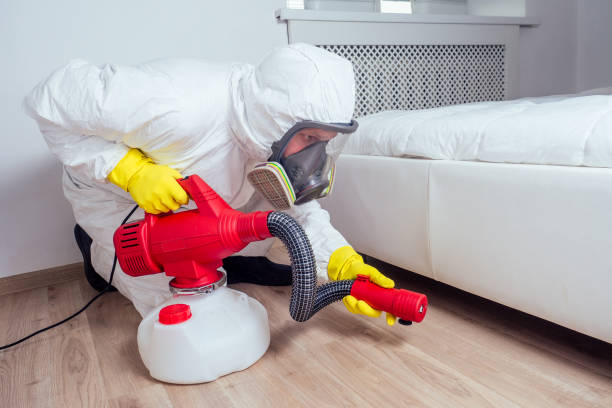 Best Flea Control Services  in Saranac, MI