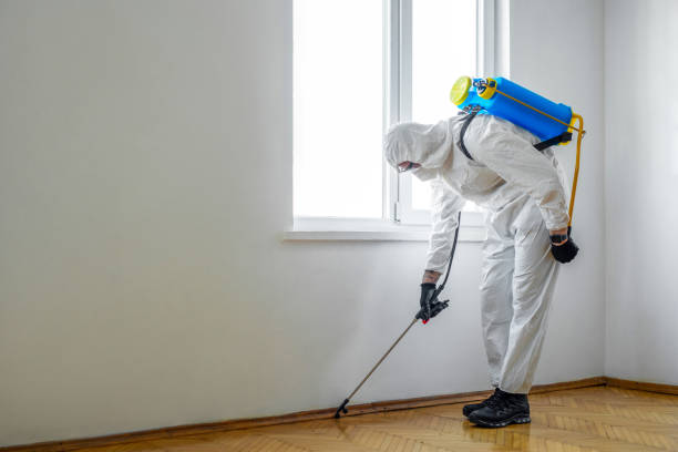 Best Wildlife Control Services  in Saranac, MI