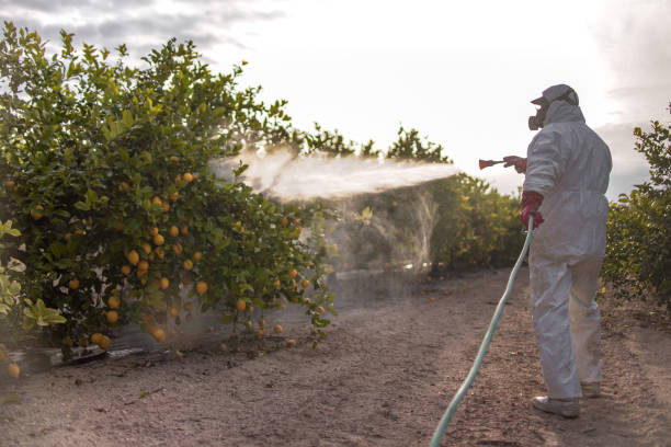 Best Pest Removal Services  in Saranac, MI