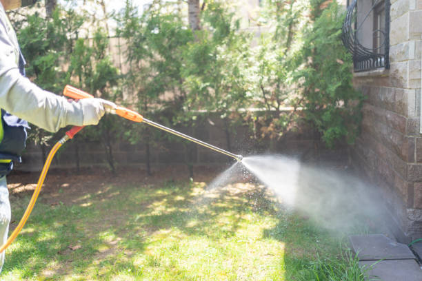 Wasp Removal Services in Saranac, MI