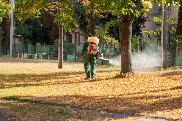 Best Exterminator Services  in Saranac, MI