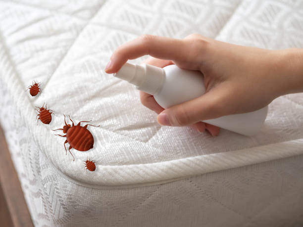 Best Local Pest Control Services  in Saranac, MI