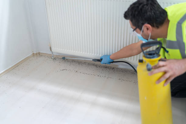 Best Wasp Removal Services  in Saranac, MI